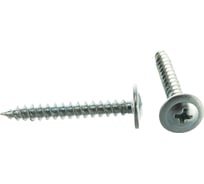 Стальной оцинкованный саморез с прессшайбой Tech-krep СММ пр.ш. остр. 4,2х32 5000 шт 00001239