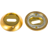 Накладка под сувальдный ключ Ренц латунь мат - латунь блест. INOB 08 SG/GP