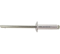 Вытяжная заклепка STEELREX алюминий - сталь, 4,0x16 мм, 100 шт. 0801040016B400010032