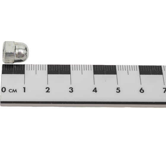 Колпачковая гайка STEELREX DIN 1587,цинк, М6, 100 шт. 0222006000B500010064