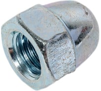 Колпачковая гайка STEELREX DIN 1587,цинк, М12, 25 шт. 0222012000B400002532 31159644