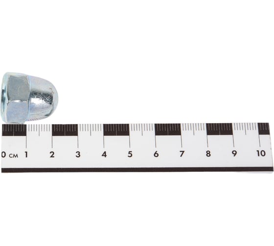 Колпачковая гайка STEELREX DIN 1587,цинк, М12, 25 шт. 0222012000B400002532
