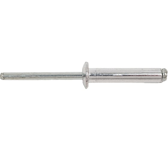 Вытяжная заклепка STEELREX алюминий - сталь, 4,8x25 мм, 75 шт. 0801048025B400007532 1