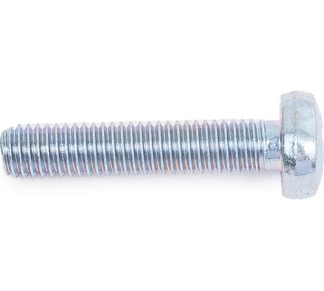 Винты Профикреп DIN 7985, с полукруглой головкой, цинк, пакет, 6х30 мм, 8 шт. 116160