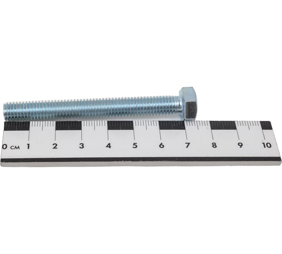 Болт STEELREX DIN 933, класс прочности 5,8, цинк, М8x70 мм, 20 шт. 0211008070B400002032