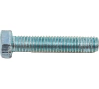 Болт STEELREX DIN 933, класс прочности 5,8, цинк, М5x25 мм, 80 шт. 0211005025B500008064