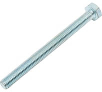 Болт STEELREX DIN 933, класс прочности 5,8, цинк, М6x70 мм, 40 шт. 0211006070B400004032