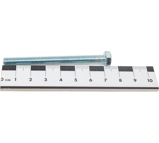 Болт STEELREX DIN 933, класс прочности 5,8, цинк, М6x70 мм, 40 шт. 0211006070B400004032