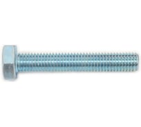 Болт STEELREX DIN 933, класс прочности 5,8, цинк, М10x60 мм, 15 шт. 0211010060B400001532