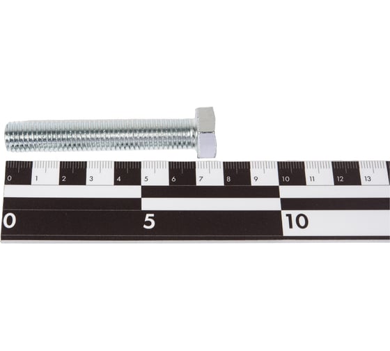 Болт STEELREX DIN 933, класс прочности 5,8, цинк, М12x70 мм, 10 шт. 0211012070B400001032
