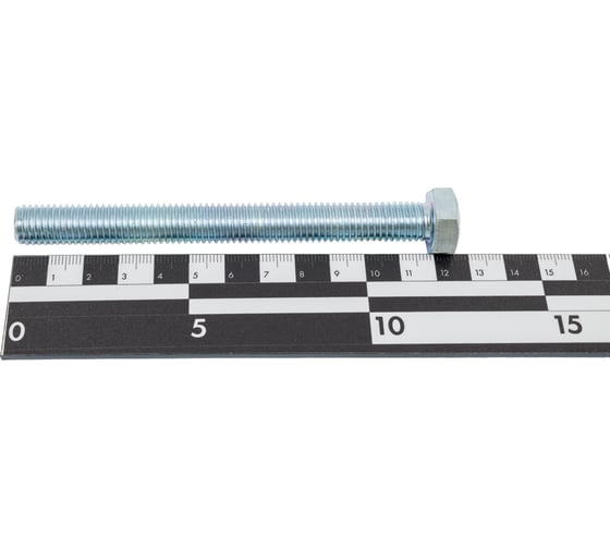 Болт STEELREX DIN 933, класс прочности 5,8, цинк, М12x120 мм, 10 шт. 0211012120B300001016