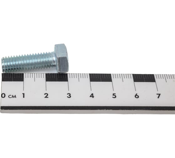 Болт STEELREX DIN 933, класс прочности 5,8, цинк, М8x25 мм, 60 шт. 0211008025B400006032