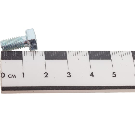 Болт STEELREX DIN 933, класс прочности 5,8, цинк, М6x12 мм, 160 шт. 0211006012B400016032