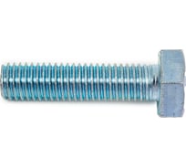 Болт STEELREX DIN 933, класс прочности 5,8, цинк, М10x40 мм, 25 шт. 0211010040B400002532