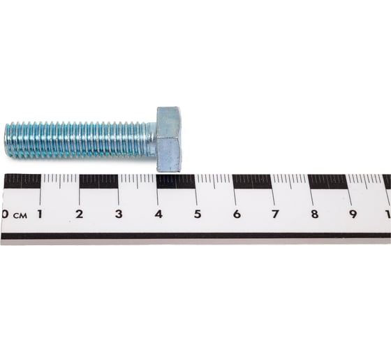 Болт STEELREX DIN 933, класс прочности 5,8, цинк, М10x40 мм, 25 шт. 0211010040B400002532