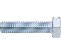 Болт STEELREX DIN 933, класс прочности 5,8, цинк, М6x25 мм, 100 шт. 0211006025B400010032