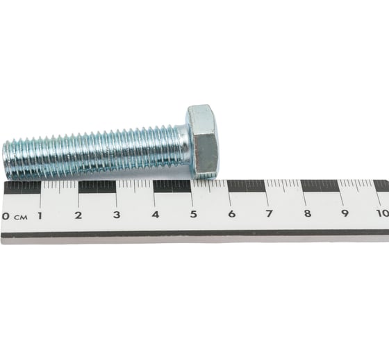 Болт STEELREX DIN 933, класс прочности 5,8, цинк, М12x50 мм, 12 шт. 0211012050B400001232