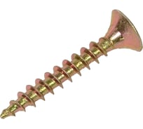 Универсальный саморез STEELREX потайной, шлиц Pz, жёлтый цинк 4.5x30 мм, коробка 200 шт. 0125045030B400020032