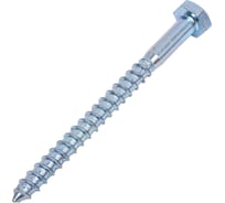 Шуруп для крепления лаг и реек STEELREX цинк 10x120 мм, коробка 20 шт. 0127010120B300002016