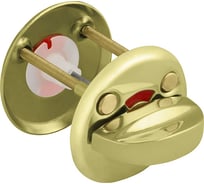 Поворотная ручка Fuaro WC-001-GP золото подвес 38697