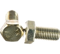 Болт КРЕП-КОМП полная резьба, цинк DIN933 16х30 пр 8,8 2шт бп1630мф