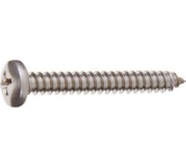 Саморез STARFIX 5.5x60 мм, полусферическая головка, острый, нержавеющая сталь А2, DIN 7981, 200 шт. в картонной упаковке 7981255-60