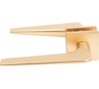 Дверные ручки BUSSARE BRAVO A-45-40 W.GOLD Валлийское золото 940002023132