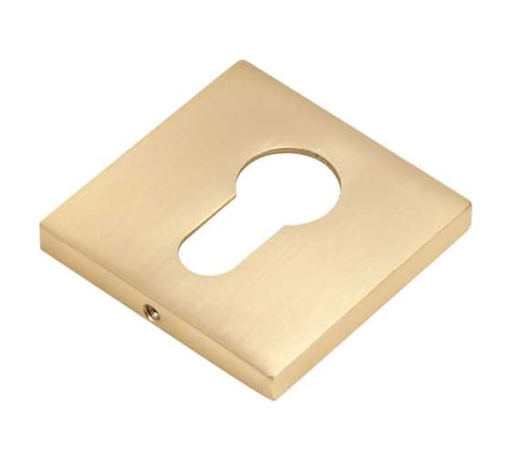 Накладки под евроцилиндр BUSSARE B0-40 W.GOLD Валлийское золото 940002023135