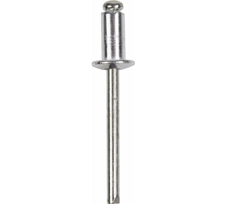 Заклепки REXANT 4,8x16 мм, 50 шт. 12-5366