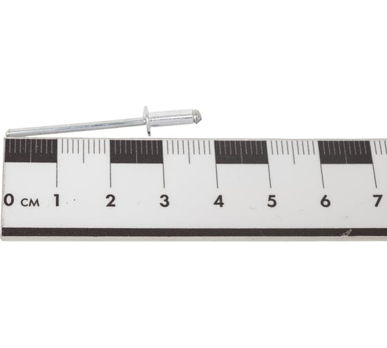 Заклепки REXANT 3,2x8 мм, 50 шт. 12-5342