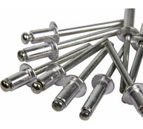 Заклепки REXANT 4,8x14 мм, 50 шт. 12-5365