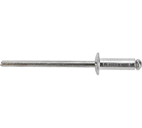 Заклепки REXANT 3,2x10 мм, 50 шт. 12-5343