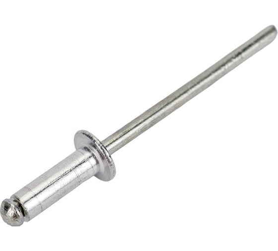 Заклепки REXANT 3,2x10 мм, 50 шт. 12-5343