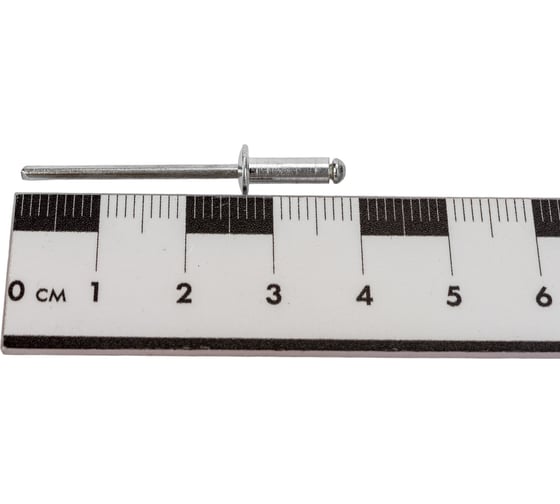 Заклепки REXANT 3,2x10 мм, 50 шт. 12-5343