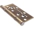 Накладная петля Vanger 100х75х2-P2-AB 27730 2