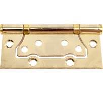 Накладная петля Vanger 100х75х2-P2-G 27727