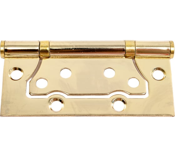 Накладная петля Vanger 100х75х2-P2-G 27727