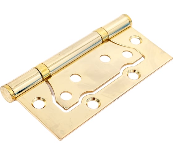 Накладная петля Vanger 100х75х2-P2-G 27727