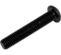 Винт Море-Метизов ISO 7380 класс прочности 10.9, оксид, M10x55 мм, 10 шт VINT7380105510M