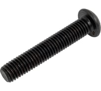 Винт Море-Метизов ISO 7380 класс прочности 10.9, оксид, M10x55 мм, 5 шт VINT738010555M