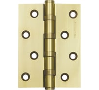 Универсальная петля ARMADILLO 4500C 500-C4 100x75x3 GP Золото Box 13887