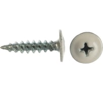 Прессшайба крепежная техника белая, 4.2х19 мм, RAL 9003 острый, 1000 шт. 1000006 БК