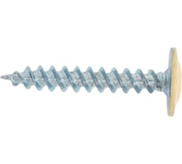 Прессшайба крепежная техника слоновая кость, 4.2х25 мм, RAL 1014 острая 500 шт. 1000126 БК