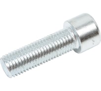 Винт с внутренним шестигранником крепежная техника DIN 912 16x50 мм, цинк, 15 шт. 700122 БК