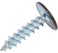 Прессшайба крепежная техника коричневая, 4.2х19 мм, RAL 8017 острая, 1000 шт. 1000048 БК