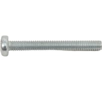 Винт с полуцилиндрической головкой крепежная техника DIN 7985 4x35, цинк, 500 шт. 495034