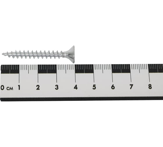 Шуруп крепежная техника белый цинк 5x40 мм, 30 шт. 11363