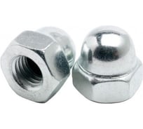 Колпачковая гайка крепежная техника DIN 1587 М12, цинк 100 шт. 4940мм