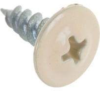 Прессшайба крепежная техника светлая слоновая кость, 4.2х25 мм, RAL 1015 острая 500 шт. 1000086 БК