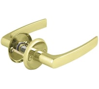 Раздельные ручки Fuaro H-0661-GP золото подвес 38695